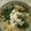 さぁ★たぁ★'s cooksnap of when they made ほうれん草の淡雪あんかけ風.