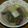 ahayas's cooksnap of when they made 栄養満点☆まぐろの血合いとねぎの味噌煮♪.