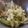 tomokoshiawase's cooksnap of when they made お茶漬けサラダ.