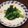 Ｐ子ママ's cooksnap of when they made 大根の葉のお漬物.