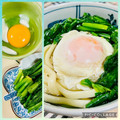 よしよしのキッチン☆'s cooksnap of when they made 皆大好き♡ほうれん草と玉子のうどん.
