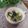 クックHG9V8Y☆'s cooksnap of when they made ほうれん草のスープ.