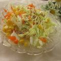 miyuki12's cooksnap of when they made 簡単マヨなしコールスロー（クレソル風味）.