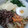 さぁ★たぁ★'s cooksnap of when they made プレ農家めし◆本格的な白菜のキムチ.