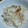taruママ's cooksnap of when they made 大根とちくわの柚子こサラダ.