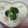 リボンシュシュ's cooksnap of when they made ２０分で本格！クラムチャウダー♡.