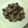 たえかママ's cooksnap of when they made 黒豆　甘納豆風.