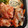 みみmamaちゃん's cooksnap of when they made 簡単おかず！新玉ねぎと人参のコンソメ炒め.