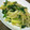 梨華ちゃん's cooksnap of when they made ☆冬瓜とほうれん草のにんにく炒め☆.