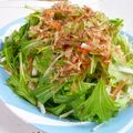 よっしー食堂's cooksnap of when they made 水菜のぱりぱりサラダ＊ポン酢ドレで.
