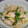 なっちょーる's cooksnap of when they made 大根と白菜のゴマ漬け.