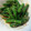 かぴーな's cooksnap of when they made 簡単いんげんの胡麻和え.