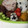 ＴＭＴ's cooksnap of when they made 簡単★うずらの卵でﾌｫｰｾﾞ.