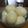 サーフブレイド's cooksnap of when they made むきやすい！ツルツルゆでたまご.