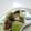 ３児ママCafe's cooksnap of when they made 砂肝とピーマンの和え物.