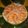 cohaママ's cooksnap of when they made お刺身鮭の押し寿司.