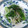 あっこ姉's cooksnap of when they made もやしと菜の花の和風ナムル.