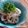 デラロサ's cooksnap of when they made れんこんの酒盗ペペロンチーノ.