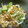＊４２８'s cooksnap of when they made 中華くらげときゅうりのサラダ.