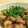 イエローバード's cooksnap of when they made お肉柔らか【鶏と茄子のおろし煮】みぞれ煮.
