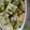 あゆたっくん's cooksnap of when they made キャベツと厚揚げの簡単煮.