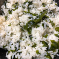 Tiger's's cooksnap of when they made 混ぜるだけ♪5分でデキる♡わかめごはん.