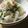 ｍａｒしゃん's cooksnap of when they made かぶとﾊﾑのｻﾗﾀﾞ.