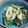 チビヒーロー's cooksnap of when they made みず菜とちくわの酢味噌和え.