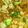 いはさ's cooksnap of when they made 失敗しない！揚げない酢豚♪.