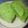 かぴーな's cooksnap of when they made グリーンティーで抹茶蒸しパン＆パンケーキ.