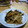 にゃんこべえ's cooksnap of when they made ★☆あと1品！茸のマスタードマヨ炒め☆★.