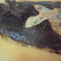 ひこ0304's cooksnap of when they made 簡単＊カレイの煮つけ.