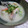 ぴのっちです's cooksnap of when they made とろとろ根菜のかす汁.