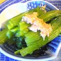 白ワインビネガー's cooksnap of when they made 小松菜おひたし～昆布茶和え～.