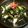 みゆちんまん's cooksnap of when they made かいわれ・長いも・きゅうりの和風サラダ.
