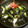 みゆちんまん's cooksnap of when they made かいわれ・長いも・きゅうりの和風サラダ.