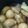 はなココ's cooksnap of when they made 圧力鍋で簡単★やわらか豚角煮.