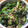 もずねこ's cooksnap of when they made ✿ 小松菜の坦々風炒め ✿.