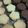 くるみかぼちゃ's cooksnap of when they made サックサクなおいしいクッキー●色々●.