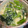 マクドなるほど's cooksnap of when they made 青菜とチーズのわさびヨーグルト和え.