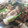 maria生主's cooksnap of when they made 簡単！時短！ほうれん草×豚肉のバター炒め.