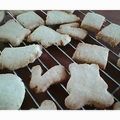 ほのあんこ's cooksnap of when they made ザクザク豆乳おからクッキー.