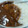 ひーなーこ's cooksnap of when they made 圧力鍋で簡単★絶品カレー.