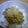 うさまる。。's cooksnap of when they made 塩ねぎごま油納豆♪.