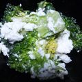 ミルク１８'s cooksnap of when they made ブロッコリーのカッテージチーズ和え.