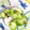さるちゃん's cooksnap of when they made 簡単しめさばの酢の物☆.