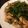 くくるぷぷ's cooksnap of when they made ささみの塩麹漬けときのことトマトの炒め物.
