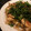 くくるぷぷ's cooksnap of when they made ささみの塩麹漬けときのことトマトの炒め物.