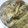 さりりりん's cooksnap of when they made きのこの炊き込みご飯.