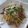 シロとおちび's cooksnap of when they made イカのトマト煮イタリアン.